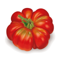 pomodoro-riccio-fiorentino