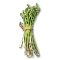 asparago-selvatico