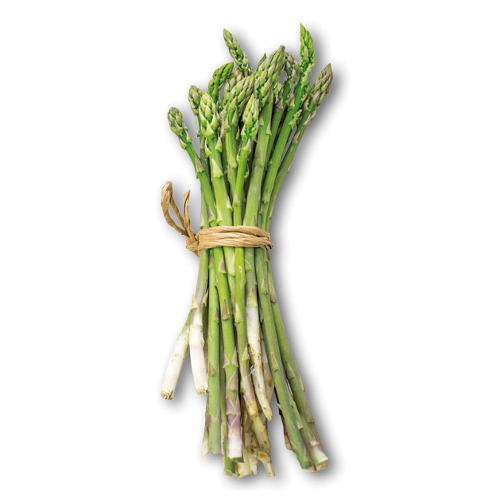 asparago-selvatico