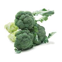 cavolo-broccolo-marathon