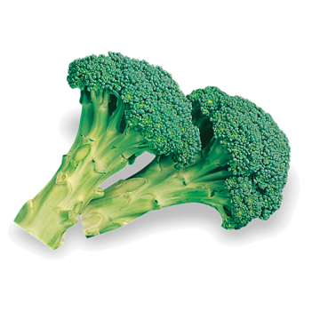cavolo-broccolo-ramoso-calabrese