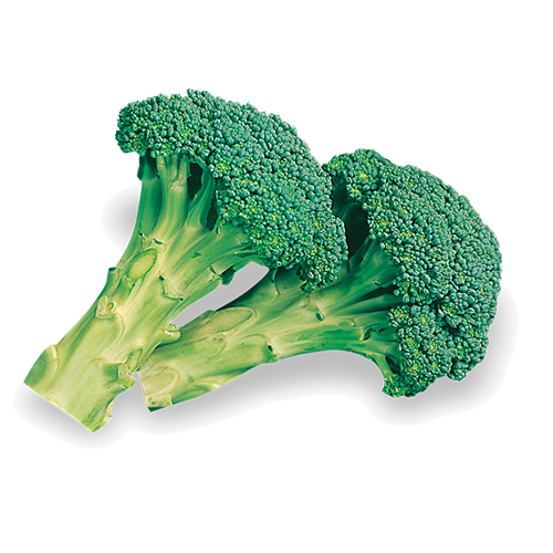 cavolo-broccolo-ramoso-calabrese