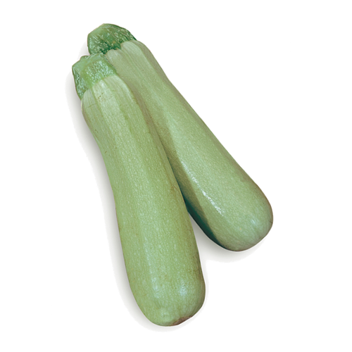 zucchino-bianco-sicilia