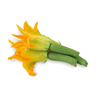 zucchino-da-fiore