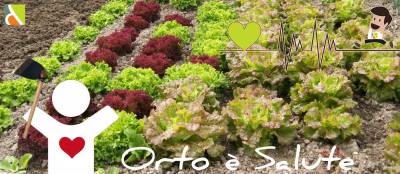 orto-salute