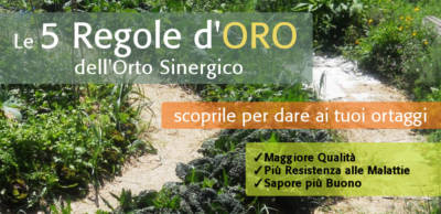 orto-sinergico