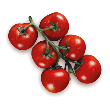 pomodoro-grappolo-rosso-risoca