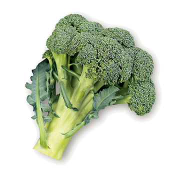 cavolo-broccolo-naxos