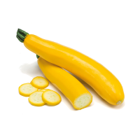 zucchino-giallo