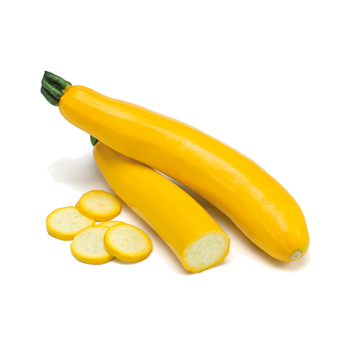 zucchino-giallo