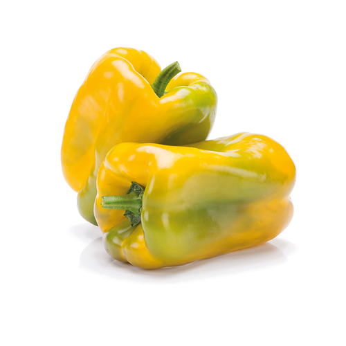 peperone-giallo-favolor