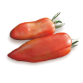 pomodoro-corno-delle-ande