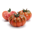 pomodoro-costoluto-genovese